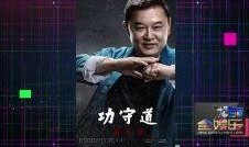 爆料功夫视频大全,揭秘武术传奇，领略中华武术风采